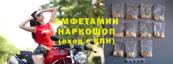 хмурый Бородино
